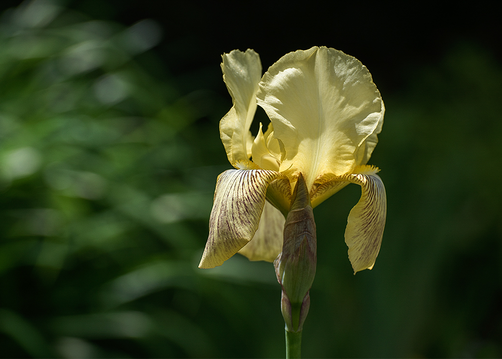 Normandie 05 - 2016_KA79511-1 Kopie.jpg